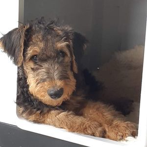 Meet your Posher, Cathy